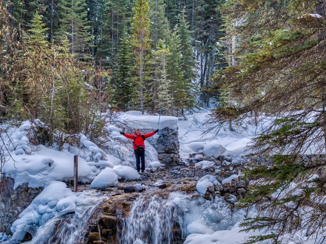 Active by Nature 1