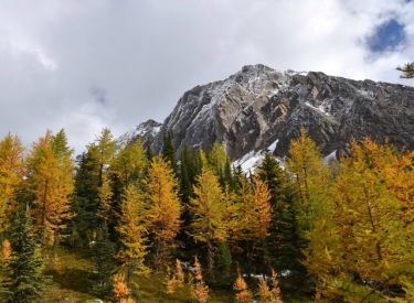 Kananaskis Outfitters