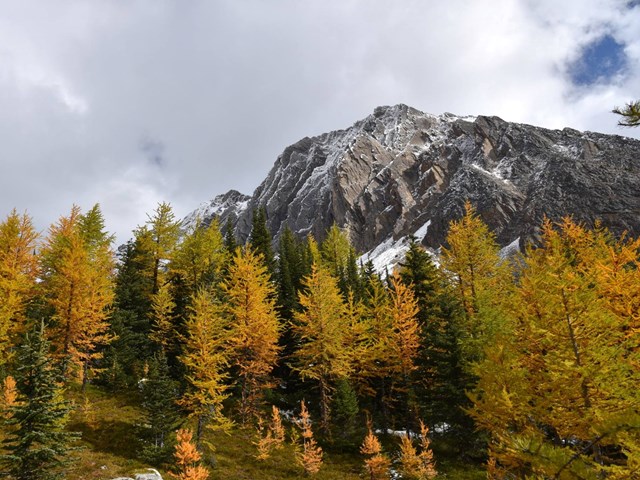 Kananaskis Outfitters