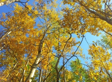 Prairie Creek Trail