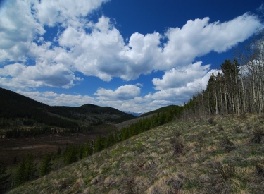 Sibbald Lake Campground