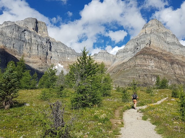 Canadian Rockies Experience 1