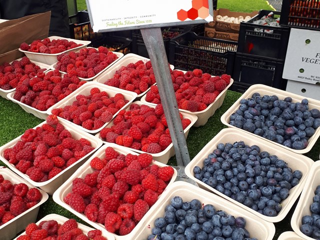 Canmore Mountain Market 1