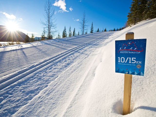 Masters World Cup of Cross-Country Skiing 2022