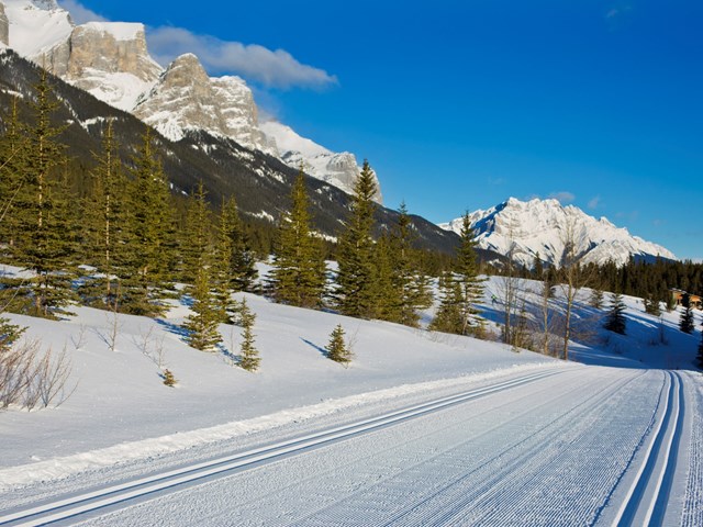 Masters World Cup of Cross-Country Skiing 2022