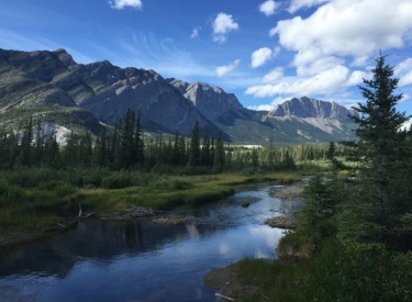 Bow River Campground
