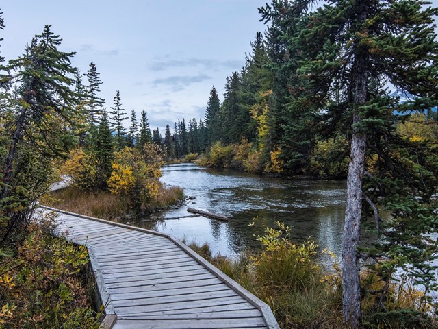 Downtown & Bow Valley Trail Audio Walking Tour | Canmore