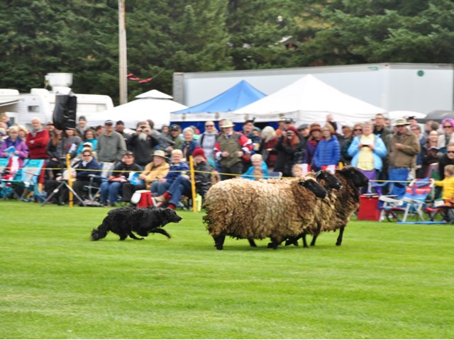 Canmore Highland Games