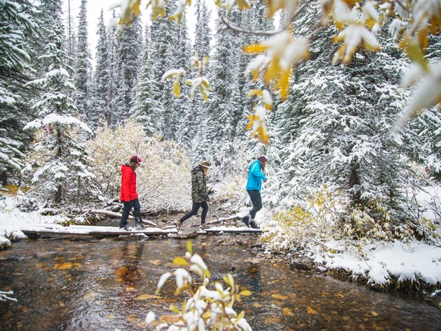 Canadian Rockies Experience 3