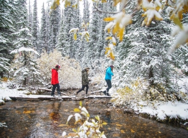 Canadian Rockies Experience 3