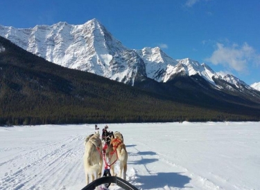 Mad Dogs & Englishmen Expeditions Inc