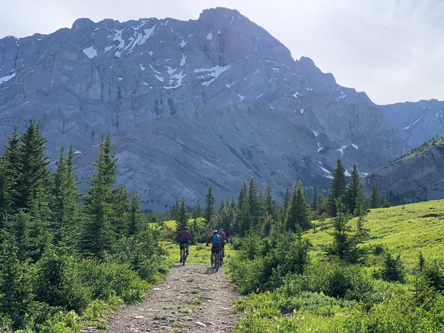 Flow Mountain Bike Adventures