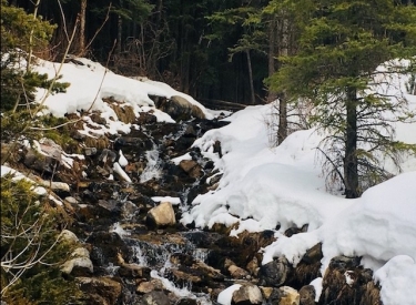 O'shaughnessy Falls