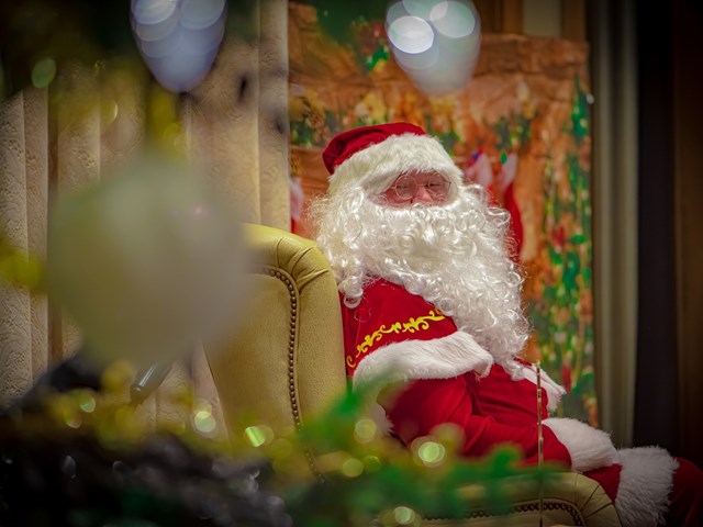 Festival of Trees
