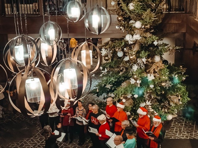 Festival of Trees