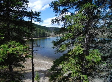 Sibbald Lake Provincial Recreation Area