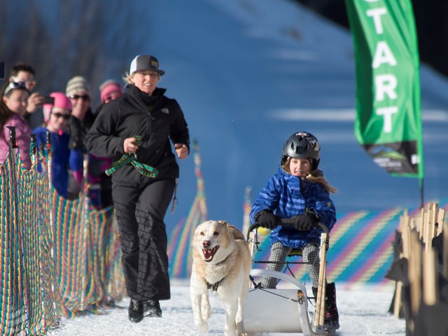 Canmore Winter Carnival 1