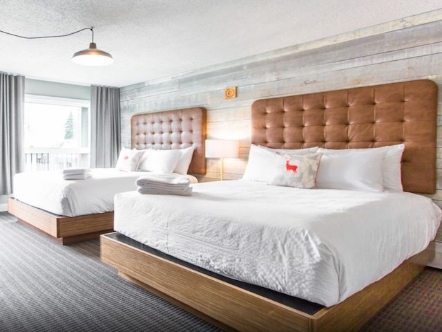 Lamphouse Hotel 1