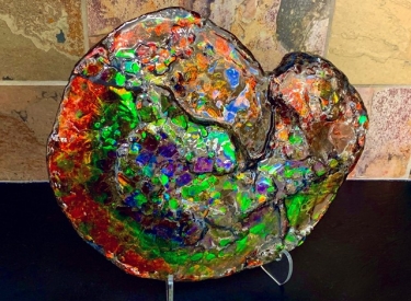 Ammonite Factory