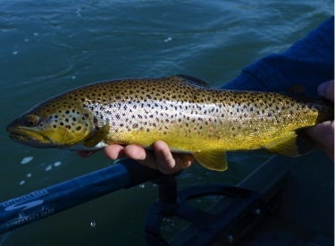 Canmore Fishing Adventures