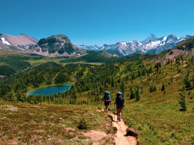 Explore Your Path: Yoga & Hiking
