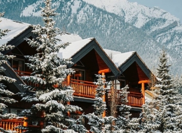 A Bear and Bison Inn
