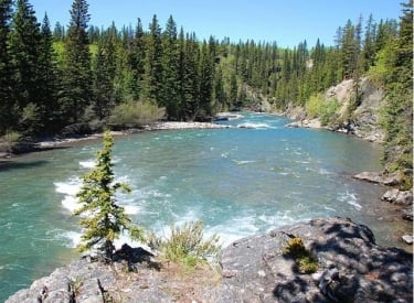 Bow Valley Campground