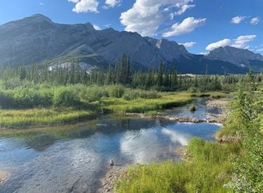 Summer day with the Bow River and Rundle Mountain Range in the background