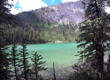 lillian lake in the summer