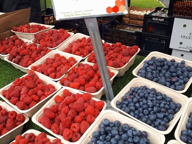 Fresh blueberries and raspberries on the fruit stand of the Canmore Mountain Market