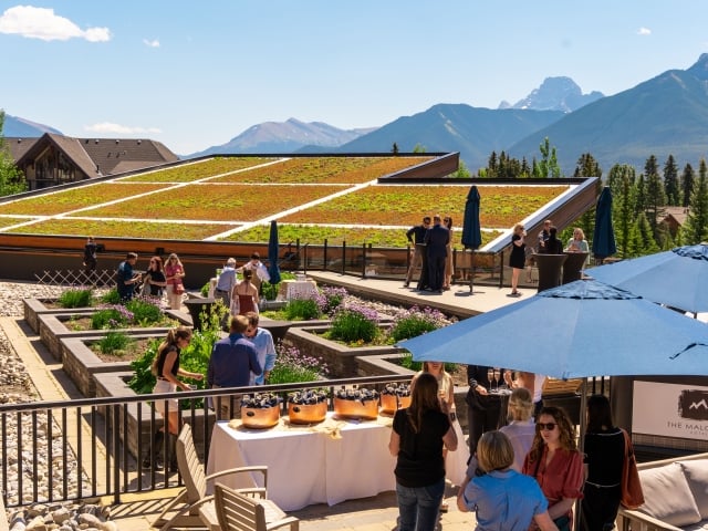 Chef's Garden Party at The Stirling Dining Room and Lounge